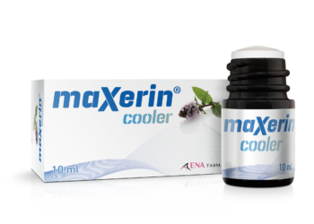 MAXERINMODELTRANSPARAN