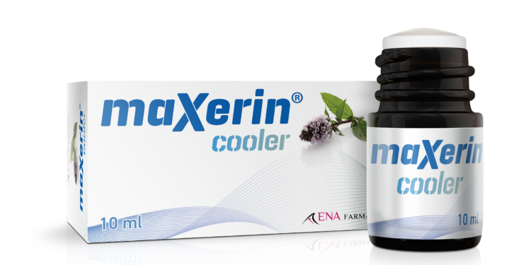 MAXERINMODELTRANSPARAN