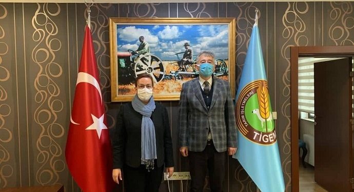 Takviye edici gıdalar eczanede ve eczacı danışmanlığında halka ulaştırılmalı