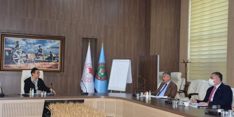 TAKVİYE EDİCİ GIDALARIN SADECE ECZANEDE SATILMASI İÇİN YOĞUN ÇALIŞMA