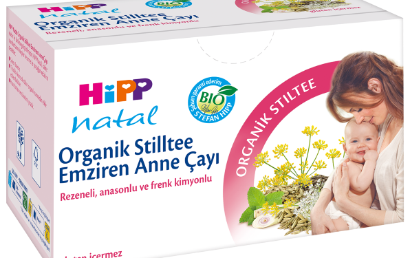 ANNE SÜTÜNE DESTEK