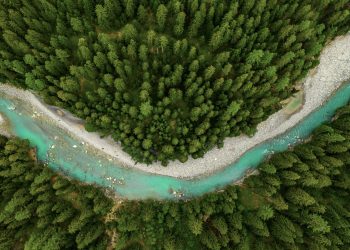 L’Oréal Türkiye Aktif Kozmetik Divizyonu ve Dermatoloji Hekimleri İşbirliğiyle 60 Bin Tohum Topu Doğaya Kazandırılıyor