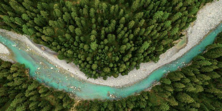 L’Oréal Türkiye Aktif Kozmetik Divizyonu ve Dermatoloji Hekimleri İşbirliğiyle 60 Bin Tohum Topu Doğaya Kazandırılıyor