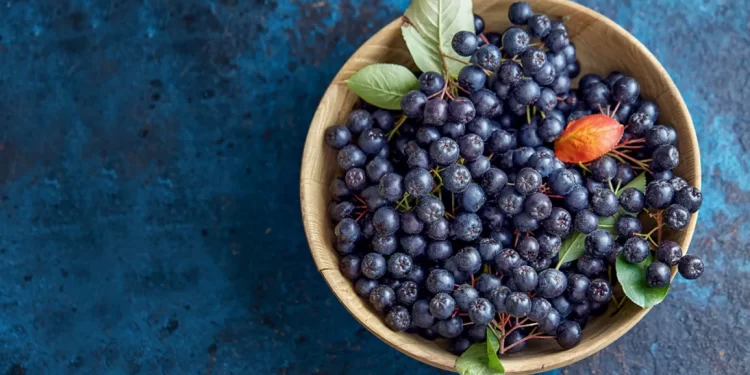 Soğuk algınlığına karşı aronya