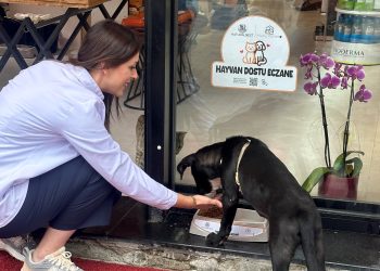 Hayvan Dostu Eczaneler Projesi ile Mama Kapları Sevgiyle Doluyor